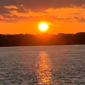 Meet your Posher, Carl